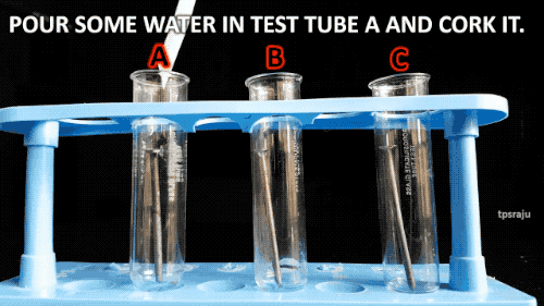 1566463095%E6%A1%A52.gif?size=555500