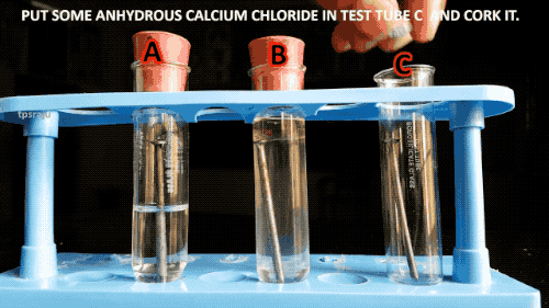 1566463111%E6%A1%A54.gif?size=804111