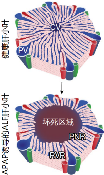 微信图片_20240703153708.png