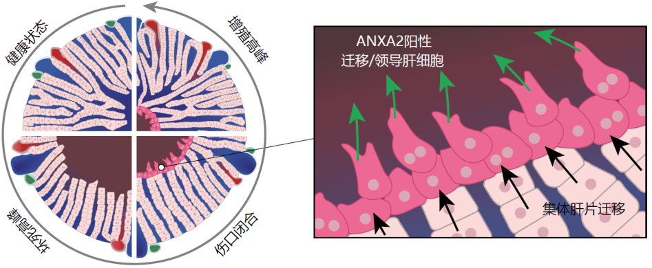 微信图片_20240703153811.png