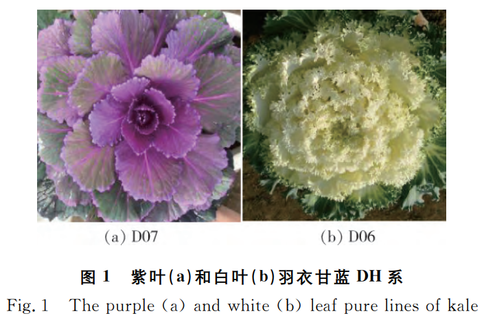 微信图片_20240926111606.png