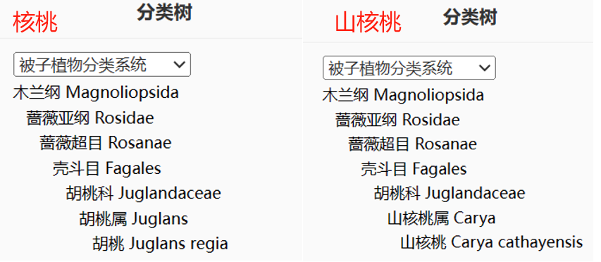 微信图片_20241210103822.png